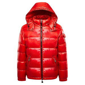 Men's Casual Winter Waterproof Hooded Puffer <b>Jacket</b> Warm Stand Collar Solid Zipper Windproof <b>Heated</b> Nylon OEM Service Front - Product Image 6
