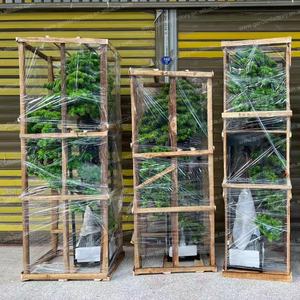 <span class=keywords><strong>Grand</strong></span> faux pin paysager sur mesure avec tronc <span class=keywords><strong>en</strong></span> <span class=keywords><strong>bois</strong></span> naturel sculpté à la main pour projet <span class=keywords><strong>de</strong></span> hall d'hôtel - Product Image 6