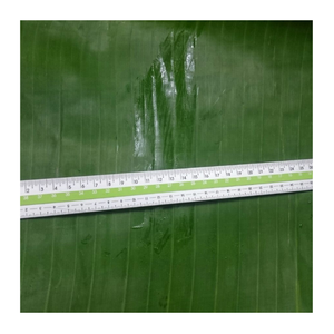 Feuille de bananier fraîche de qualité supérieure congelée-100% feuilles de bananier naturelles avec norme d'exportation pour emballer les aliments et cuisiner - Product Image 5