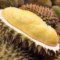 Durian frais coupé de qualité supérieure Khey Taladthai, grade A, 0,5 kg, durée de conservation de 2 à 3 semaines, emballé en boîte, naturel, 13,5 cm, sans noyau, goût crémeux