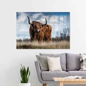 Impression sur toile de vache des Highlands : Art mural de ferme écossaise, verre - Product Image 1