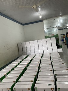 เม็ดมะม่วงหิมพานต์เกรดชั้นนำที่ร่วมรายการได้รับการรับรองมาตรฐาน ISO ขนาดบรรจุสุญญากาศ W180 W240 W320ขนมใช้ราคาไม่แพง + 84 - Product Image 6