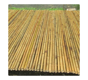 โรงงานผลิตไม้ไผ่ในเวียดนามสำหรับตลาดส่งออกและการจัดหาจำนวนมาก - Product Image 6