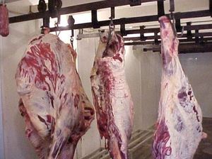 Viande de boeuf désossée, quartiers avant, fraîche et congelée, coupes de bœuf halal de qualité supérieure, approvisionnement en gros pour le marché de gros et le secteur de la restauration - Product Image 4