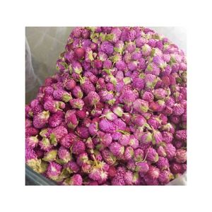 Globe séché fleurs d'amarante produit de thé fabriqué au Viet Nam produit meilleur prix et meilleure vente-Flower tea - Product Image 4