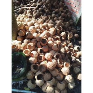 Bol en coquille de noix de coco fabriqué à la main du Vietnam pour l'exportation avec un prix approprié pour les acheteurs importateurs - Product Image 2