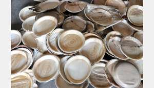 Assiettes en feuilles d'arec en gros, assiettes jetables compostables naturelles, approvisionnement en vrac, fabriqué au Bangladesh - Product Image 6