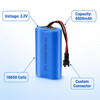 Paket Baterai LiFePO4 18650 3.2V 6000mAh Kustom, Pasokan Pabrik OEM dengan Kabel Harness dan Konektor