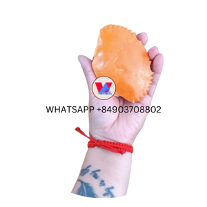 หอยปูแห้งเวียดนามสำหรับตกแต่งบ้านงานประดิษฐ์งานฝีมือจากเปลือกหอยเวียดนาม - Product Image 2