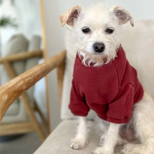 Sweat-shirt éponge français pull personnalisable pour hommes et femmes doux et confortable tenue décontracté en gros unisexe français - Product Image 6