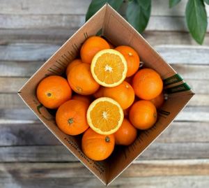 Venta al por mayor de naranjas y cítricos frescos al mejor precio; también limón y lima disponibles - Product Image 3