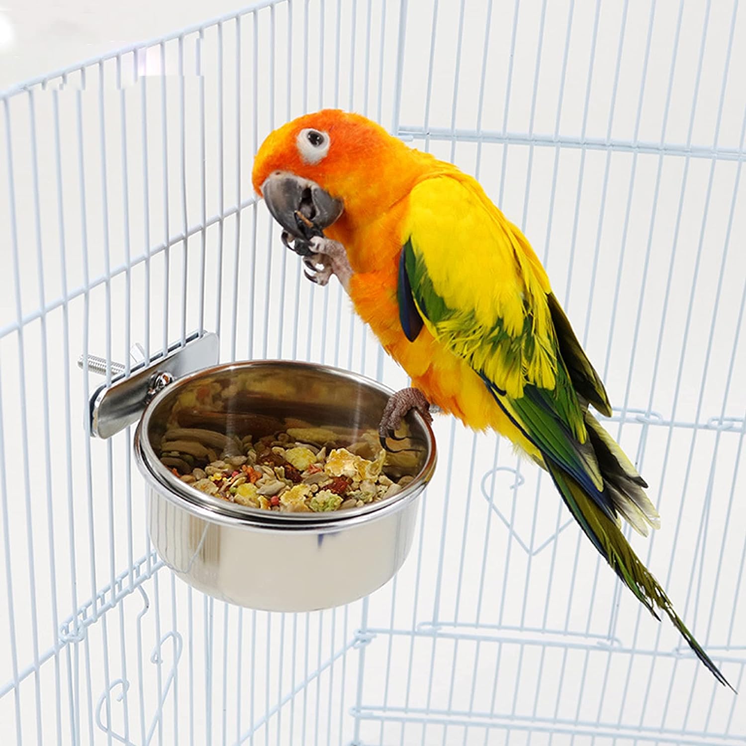 bird bowls stainless steel portable