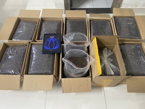 Semillas de Papaya de Blue Lotus Vietnam, Limpiadas a Máquina y Empacadas a Granel para Exportación y Uso Industrial General No Comestible - Product Image 2