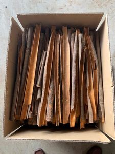 Venta caliente 2025 nueva cosecha picante sabrosa canela Split Cassia hierba cruda exportación especias secas de Vietnam proceso de secado AD - Product Image 5