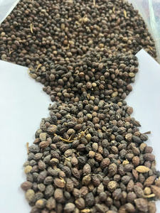 2024 GRAINES DE PAPAYE SÉCHÉES MEILLEURE QUALITÉ DU VIETNAM À L'ALLEMAGNE ÉTATS-UNIS MARCHÉ MS AMELIA HUYNH + 84855014447 AU MEILLEUR PRIX - Product Image 2