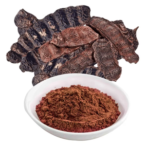 Polvo de Shikakai 100% Puro y Orgánico Más Vendido, Polvo de Shikakai Natural para Acondicionador y Limpiador Capilar al por Mayor desde India - Product Image 1