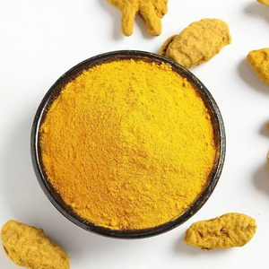 Extracto de Cúrcuma 95% Curcumina en Polvo |   Proveedor de Extracto de Raíz de Curcuma Longa a Granel - Product Image 2