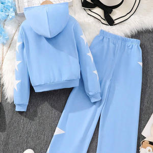 Chándal para niños con logotipo de marca personalizado, forro polar suave, tela duradera, ropa deportiva informal de moda, venta al por mayor, etiquetas privadas a granel - Product Image 2