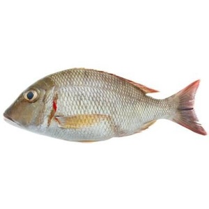 Proveedor mayorista confiable de pescado snapper blanco entero congelado a precio económico - Product Image 2