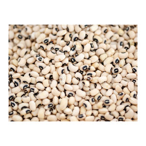 Haricots noirs cultivés pour la vente en gros et au détail à grande échelle - Product Image 1