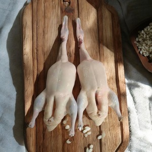 Filetes de pechuga de pato congelados Halal para la venta - Product Image 6