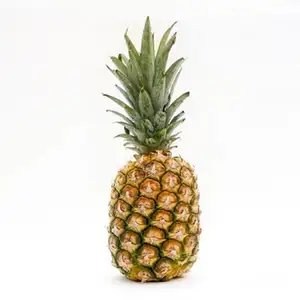 Fresh Fruit Pineapple Sourness Beautiful Golden Color Super Sweet Fruits Quality Fresh Pineapple