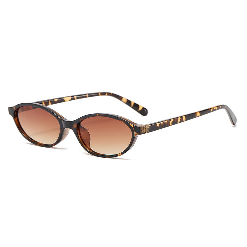 C3: Tortoise/ Brown Gradient