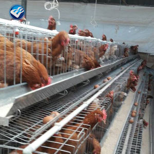 Poulaillers à vendre Construction d'un poulailler Cages pour pondeuses Prix Nid <span class=keywords><strong>Cage</strong></span> - Product Image 4