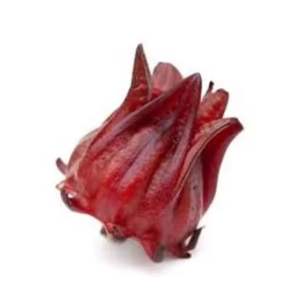 Brotes de alcachofa rojos secos - Product Image 2