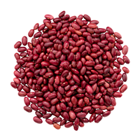 Haricots rouges naturels en gros, bruts et triés, secs, en vrac, emballés en sacs, pour usage alimentaire