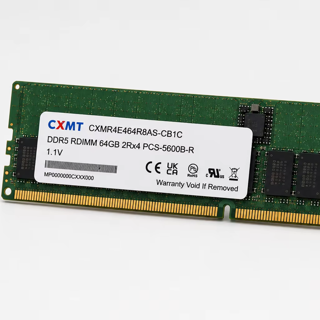 CXMT CXMR4E464R8AS-CB1C 64GB DDR5 5600MT/s 2Rx4 RDIMM Server Memory Module