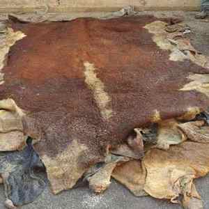 Raw Wet Salted Cattle Hides | Cow Skins Hides for Sale - Product Image 4