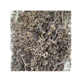 สมุนไพรธรรมชาติใบเจลลี่สำหรับผลิตอาหารและเครื่องดื่มในครัวที่บ้าน - Product Image 6