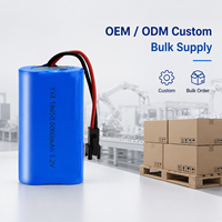 Paket Baterai LiFePO4 18650 3.2V 6000mAh Kustom, Pasokan Pabrik OEM dengan Kabel Harness dan Konektor