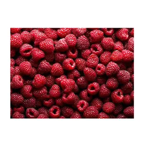 Kualitas standar jumlah besar 100% murni dan alami manis lezat buah beri segar Raspberry untuk pembeli grosir