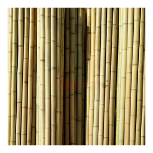 Postes de bambú huecos ecológicos de Vietnam para cercas y paisajismo-Tamaños grandes (2M-6m)-BPF020 - Product Image 1