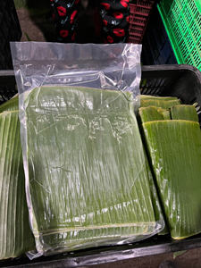 ใบตองสดพรีเมียม จำนวนมาก ใบใหญ่ สีเขียว คุณภาพพรีเมียม สำหรับการปรุงอาหารแบบดั้งเดิม ห่ออาหาร ใบตองสดธรรมชาติ สำหรับส่งออก - Product Image 3