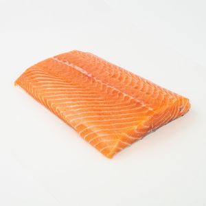 Filetes de Salmón Coho Congelados – Mariscos Congelados Premium para Exportación Internacional - Product Image 6