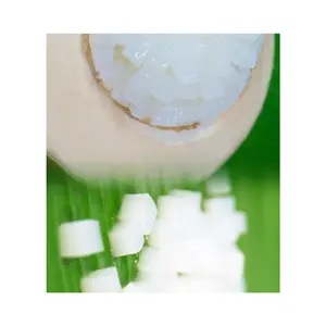 Wholesale Quality 100% Natural NATA DE COCO COCONUT JELLY in SYRUP FOR SUMMER DRINK From Viet Nam At Best Price