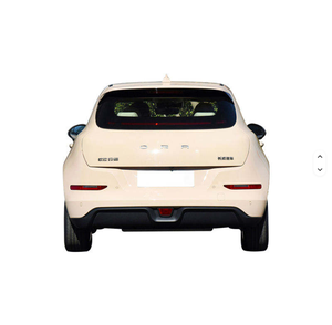 2024 Good Cat Mini EV Coches Eléctricos Deportivos 401km para Adultos en perfecto estado listos para enviar - Product Image 3