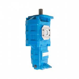 803013093 J2100 0010 Pompe de direction double tandem - Product Image 3