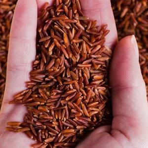ARROZ ROJO NATURAL DE LA MEJOR CALIDAD, ORGÁNICO Y SIN GLUTEN, SALUDABLE DE VIETNAM, PERFECTO PARA LA PÉRDIDA DE PESO, ESTILO DE VIDA VEGANO, NUTRICIÓN DIARIA - Product Image 3