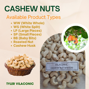 Anacardos marca Vilaconic grado a bolsa de vacío embalaje WW450 W180/ W320/ W240/ LP/ SP CALIDAD DE LA UE AFI estándar Tyler - Product Image 1