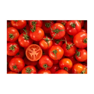 Harga Murah tomat segar alami dalam stok tomat ceri segar/tomat segar Cherry grosir