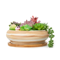 Pot Bonsai Bulat dari Bambu Modern dengan Dudukan Ramah Lingkungan Tahan Lama Buatan Tangan Pot Tanaman Dalam Ruangan Vietnam B2B