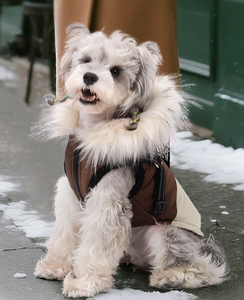 Veste en polaire chaude ELEVE pour poulets, petits poulets, chiots, respirante, mignonne, à capuche, motif géométrique, style occidental, hiver - Product Image 3