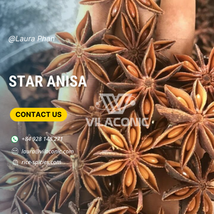 Cannelle de cassia à l'anis étoilé de meilleure qualité provenant directement du Vietnam pour le printemps d'hiver-WS Laura + 84 928 148 271 - Product Image 3