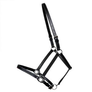 <b>Best</b> Quality Western Leather Halter for Horses Customized Design and Colour Available in Affordable Price - Product Image 4