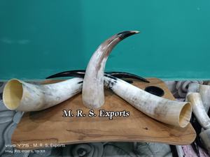 Corne à boire en os de bœuf 100% alimentaire, très demandée, cornes à boire viking médiévales, prix de gros - Product Image 5