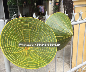 Chapeau à large bord écologique élégant pour la protection solaire pour l'agriculture - Product Image 1